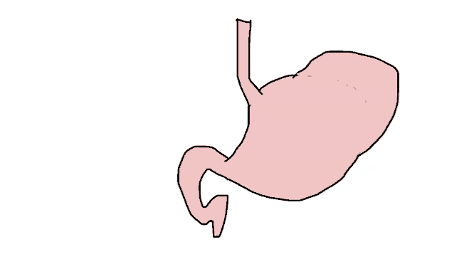 a cartoon drawing of a pink stomach with a long tail