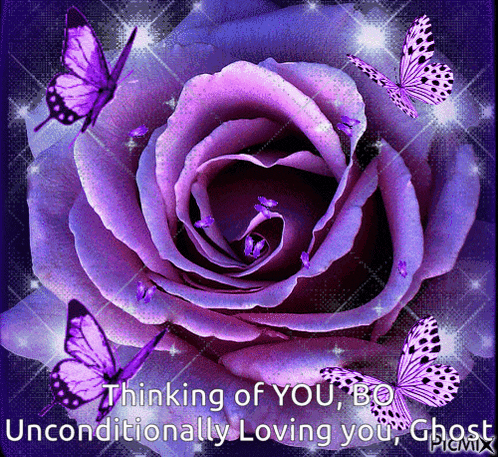 a purple rose is surrounded by purple butterflies and says thinking of you