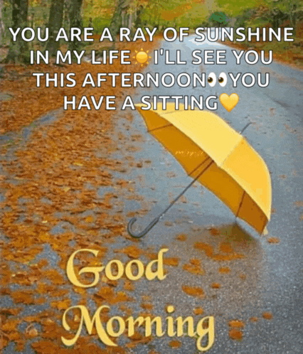 a yellow umbrella sits on the side of a road with the words " you are a ray of sunshine in my life " below it