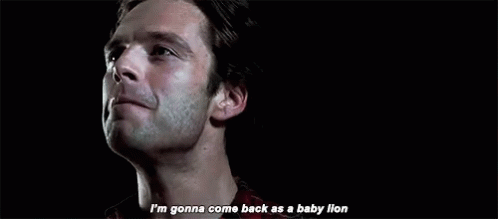 Sebastian Stan Im Gonna Come Back As A Baby Lion GIF - Sebastian Stan Im Gonna Come Back As A Baby Lion Bucky Barnes GIFs