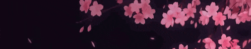 a black background with pink flowers and the words he aram