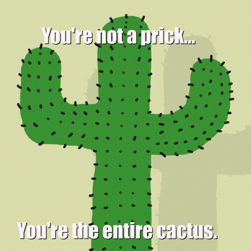 Catus Prick GIF - Catus Prick Cactus Prick GIFs