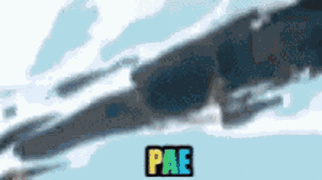 a cartoon drawing of a jet flying through the air with the word pae in the corner .