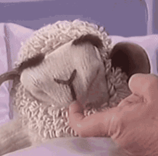 Lamb Chop Do Not Want GIF - Lamb Chop Do Not Want Frown GIFs