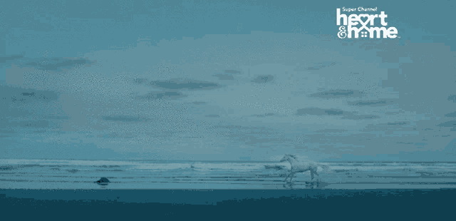 a picture of a horse running on a beach with the words super channel heart & home on the bottom