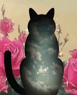 Cat Silhouette Vector Art Cat GIF - Cat Silhouette Vector Art Cat Contemporary Art GIFs