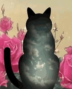 a black cat is surrounded by pink roses