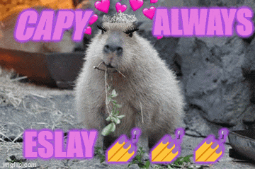a picture of a capy with the words capy always eslay written on it