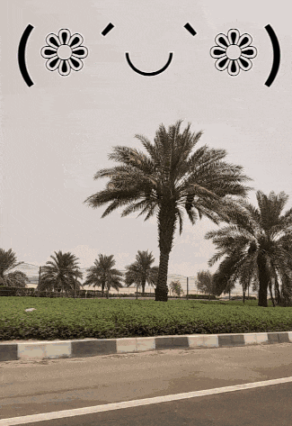 a picture of palm trees with a smiley face and flowers