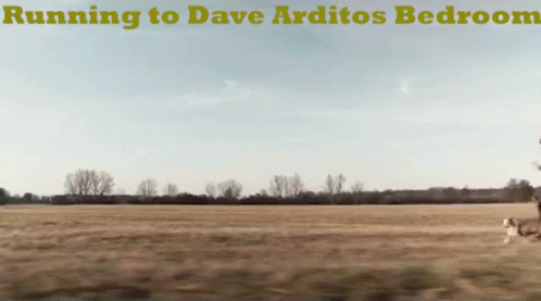 Dave Dave Ardito GIF - Dave Dave Ardito Ardito GIFs