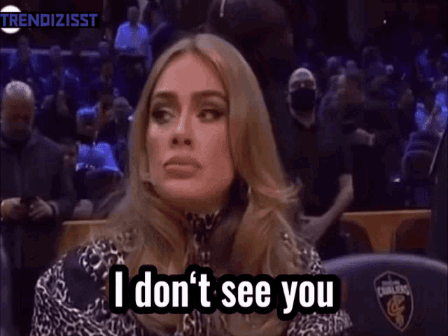 Adele Ignoring GIF - Adele Ignoring I Dont See You GIFs
