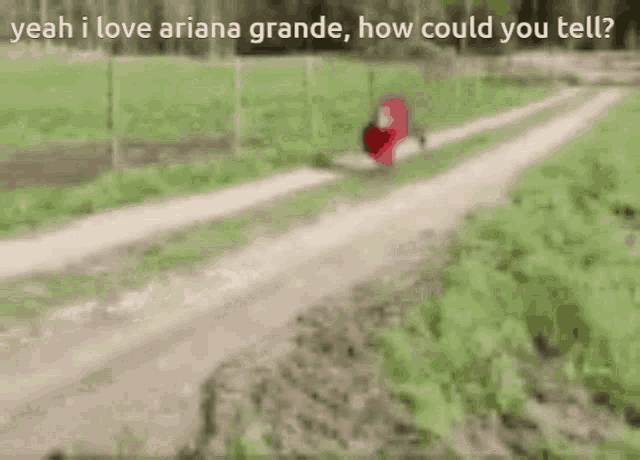 a blurred image of a person walking down a path with the caption yeah i love ariana grande