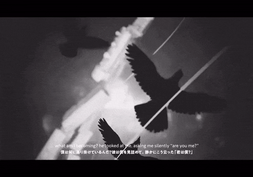 a black and white photo of birds with the words what am i becoming he looked at me asking me silently " are you me "