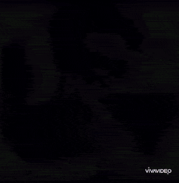 a man wearing sunglasses and a hat is surrounded by purple and blue lights and the word vivavideo is on the bottom