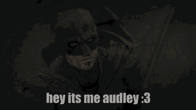 Audman Audley GIF