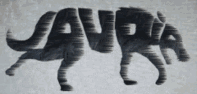 a drawing of a wolf with the word sava on the bottom