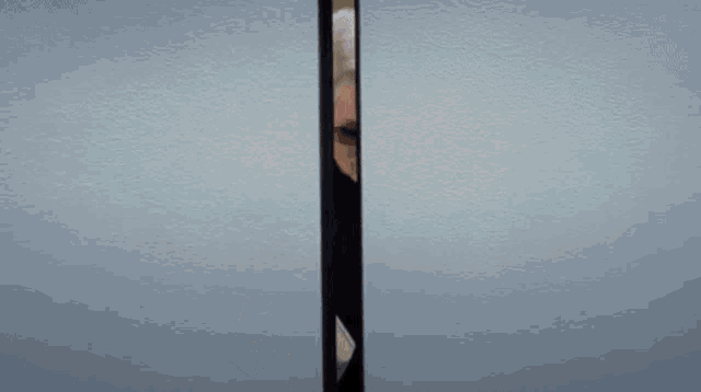 Divina GIF