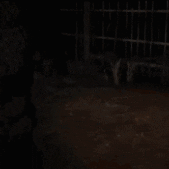 a bald man wearing sunglasses and a necklace is dancing in the dark .
