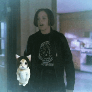a person wearing a black shirt that says " see it out " holding a cat