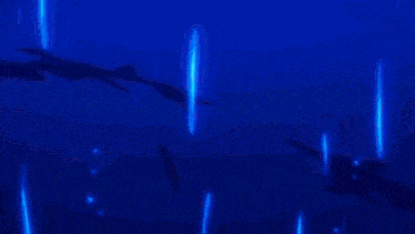 a person is standing in a dark room with a blue background