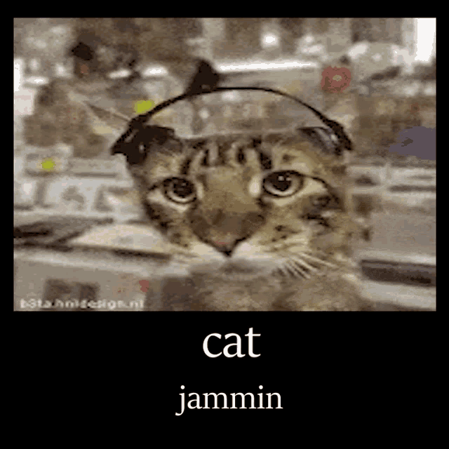 a cat wearing headphones with the word cat jammin on the bottom
