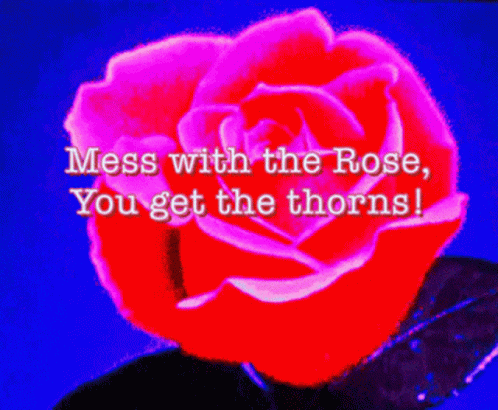 Rose Thorns GIF - Rose Thorns Rosebds GIFs