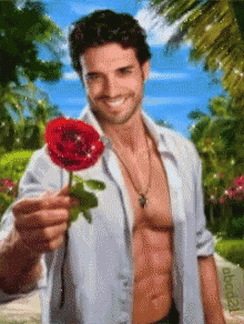 Roses Red GIF - Roses Red Guy GIFs