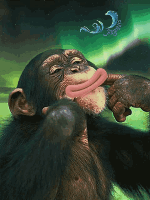 ბეე მაიმუნი GIF - ბეე მაიმუნი Monkey GIFs