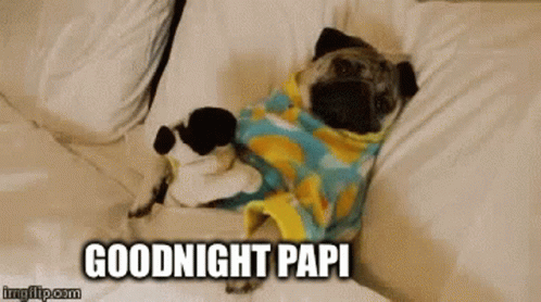 Papi Goodnightpapi GIF - Papi Goodnightpapi Nightpapi GIFs
