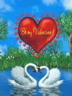 two swans in a lake with a heart that says be my valentines