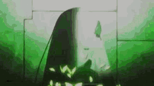 a silhouette of a person standing in front of a green wall in a dark room .