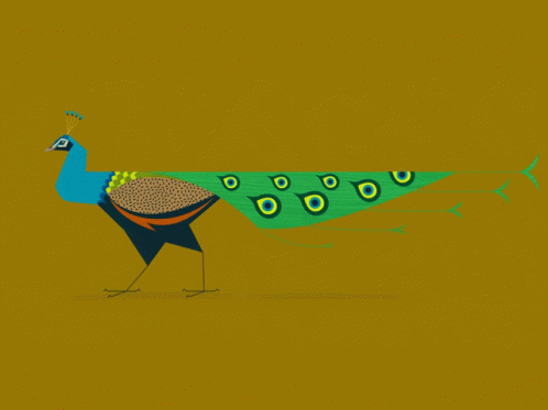 Peacock Strut GIF - Peacock Strut GIFs