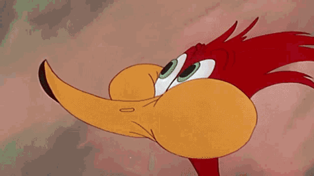 a close up of woody woodpecker 's face with big eyes