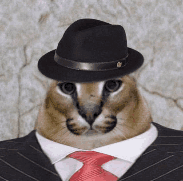 a cat wearing a hat and tie looks like a man
