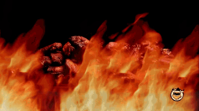 a picture of flames with a shark logo on the bottom