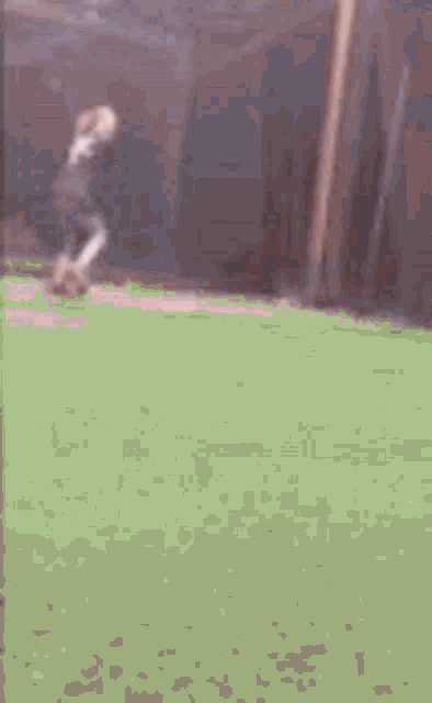 Annabanana Tiktok GIF