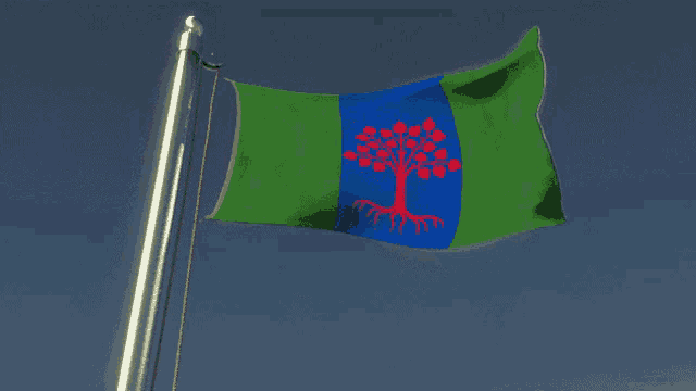 a green blue and red flag with a tree on it is waving in the wind