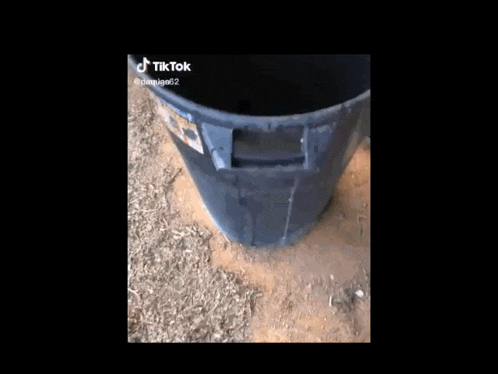 a close up of a person 's face with a tiktok logo on the bottom