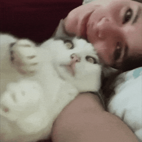 a woman laying in bed with a white cat on her chest