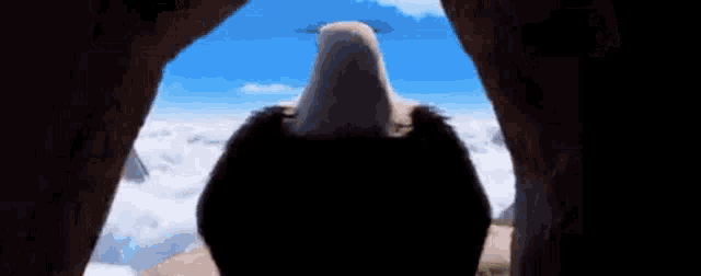 a bald eagle is standing in a cave looking out at the clouds .