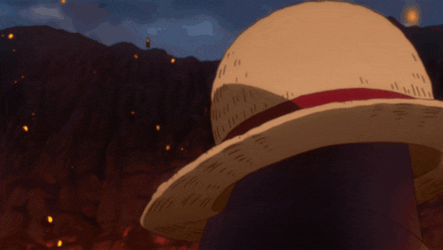 a person wearing a straw hat looks at a mountain