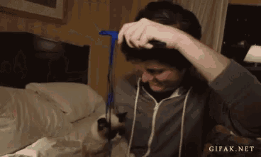 a man is brushing his cat 's hair while a gif from gifak.net is displayed in the corner