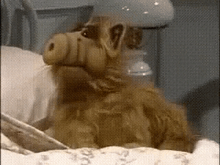 a stuffed animal is sitting on a bed .