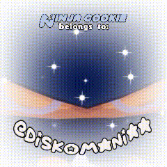 a picture of a ninja cookie with the words ninja cookie belongs to diskomania