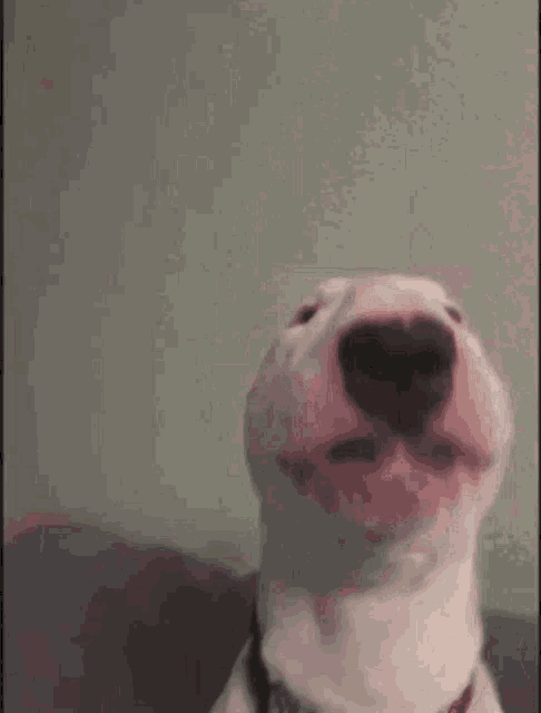 Walter GIF