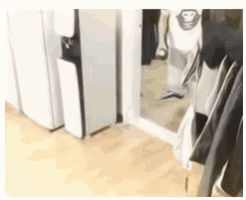 a person is standing in a room next to a refrigerator and a door .