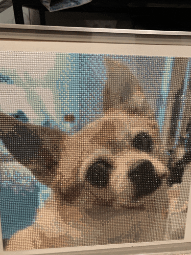 a picture of a dog with a blue background is covered in rhinestones