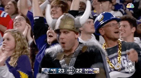 a man wearing a viking helmet is sitting in the stands at a football game .