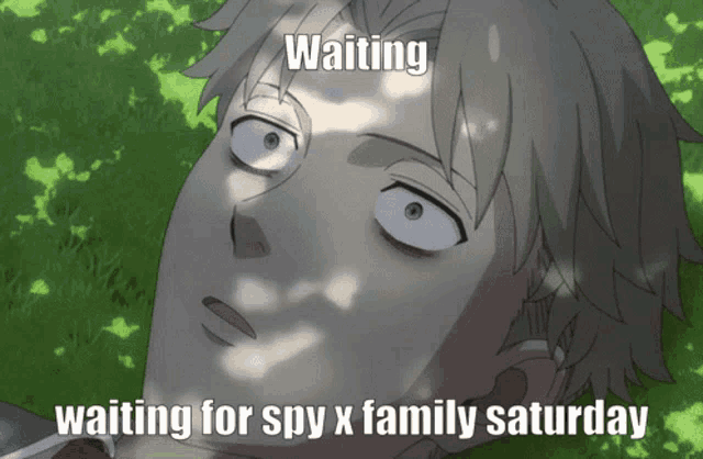 a cartoon of a man laying in the grass with the caption waiting for spy x family saturday