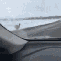 a car is driving down a snowy road and looking out the window .